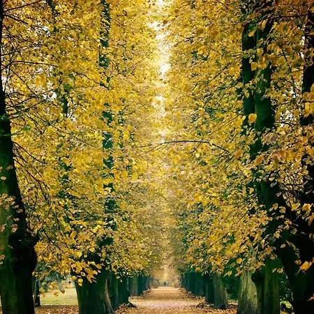 Weitblick-loft Mit Terrasse