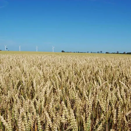 Weitblick-loft Mit Terrasse * Росток